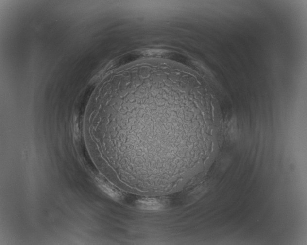 X0000081350381200701111501