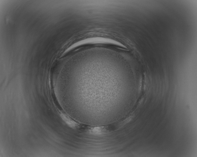 X0000081350382200701111501