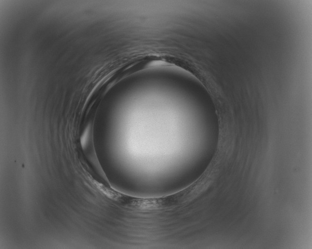 X0000081350384200701111501