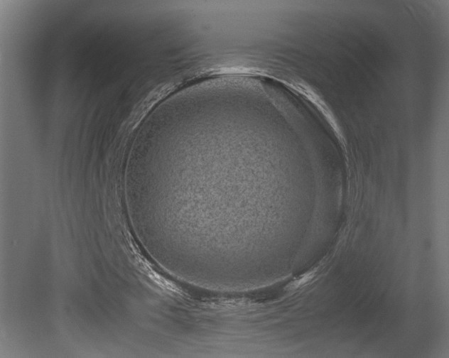 X0000081350385200701111501