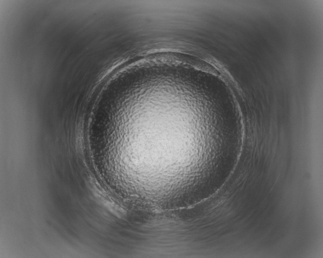 X0000081350386200701111501