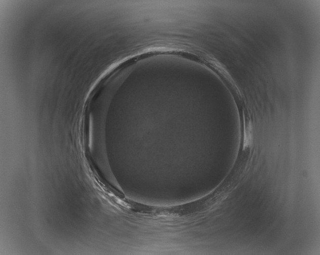 X0000081350387200701111501