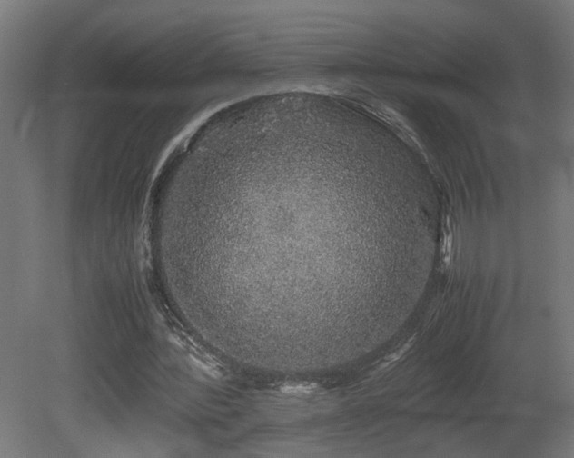 X0000081350388200701111501