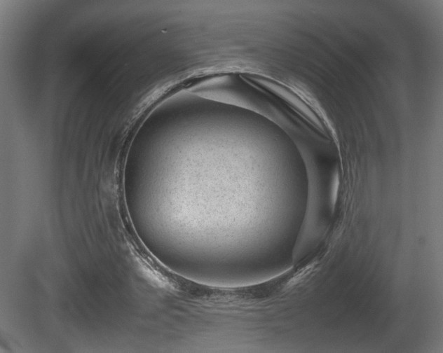 X0000081350389200701111500