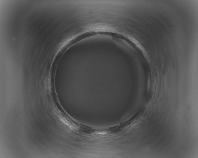 X0000081350391200701111500