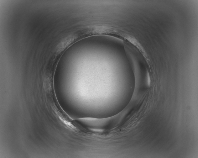 X0000081350393200701111500