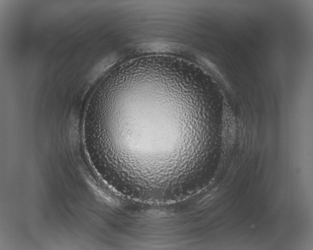 X0000081350394200701111500