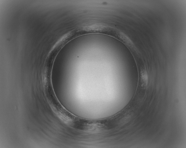 X0000081350396200701111500