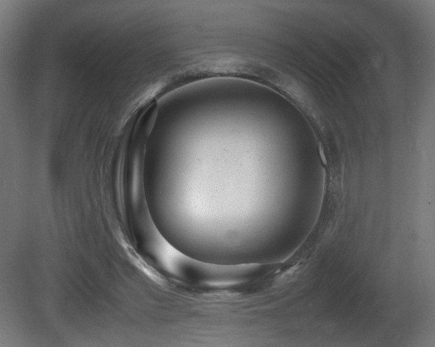 X0000081350397200701111500