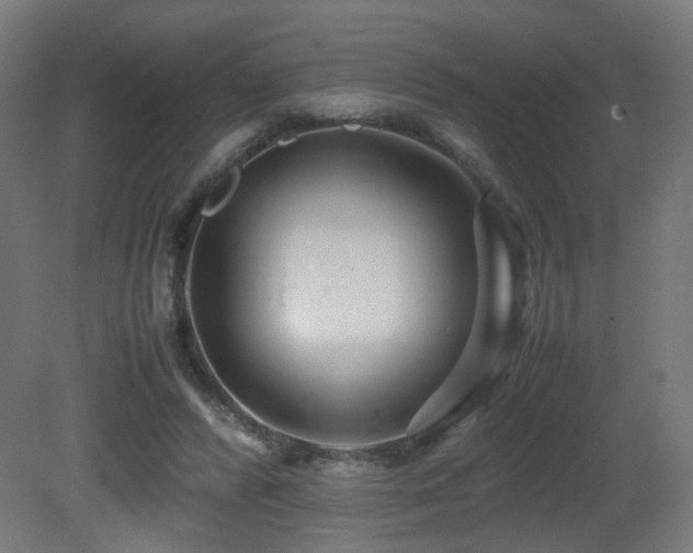 X0000081350400200701111500