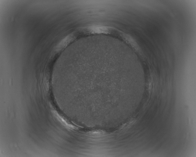 X0000081350402200701111500