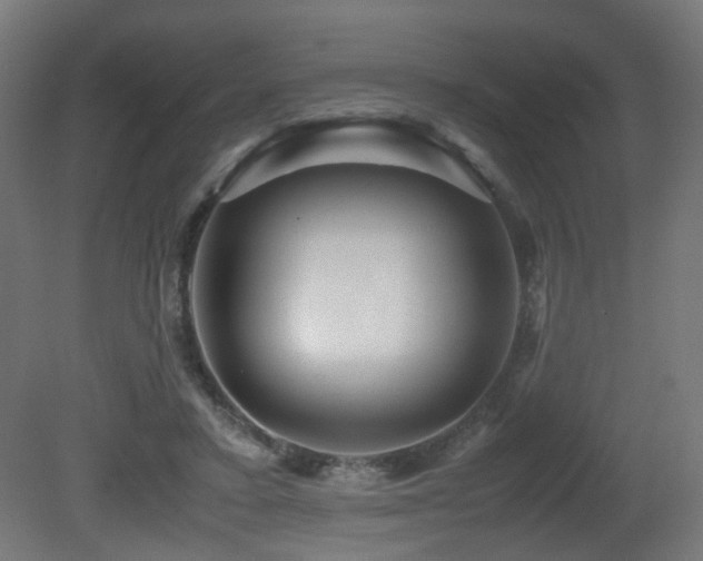 X0000081350403200701111500