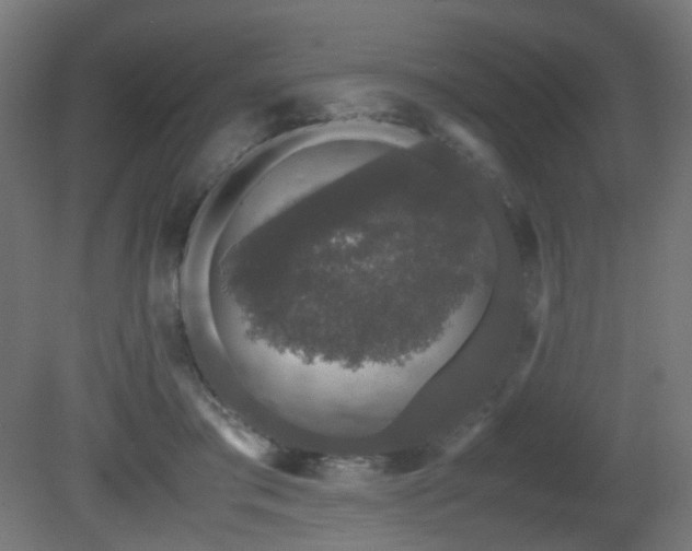 X0000081350405200701111500