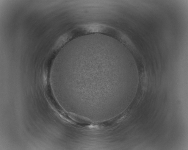 X0000081350406200701111500