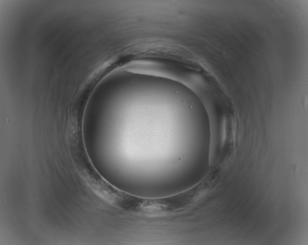 X0000081350407200701111500