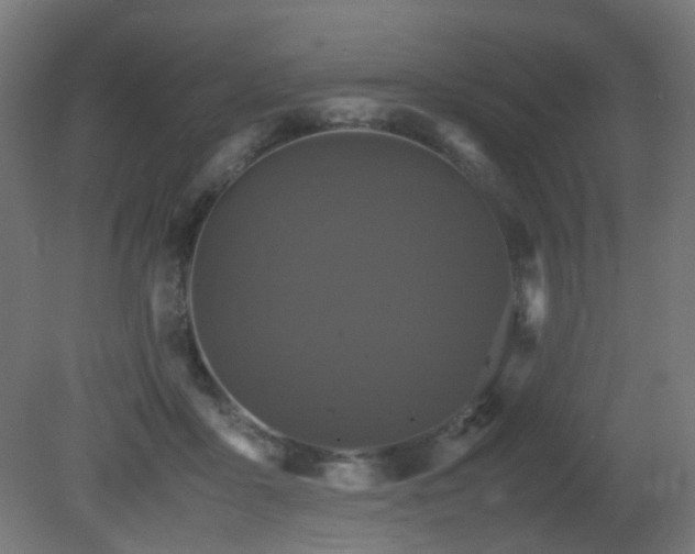 X0000081350411200701111500