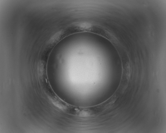 X0000081350412200701111500