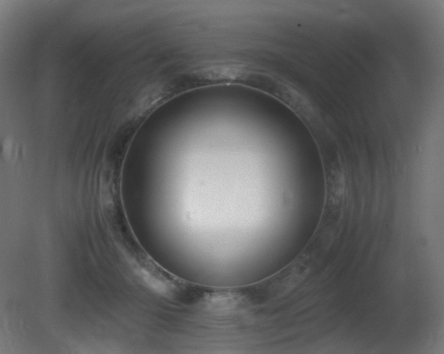 X0000081350414200701111500