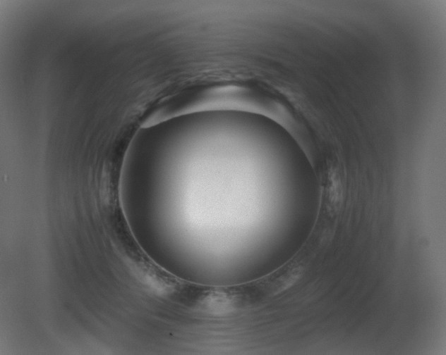 X0000081350416200701111500