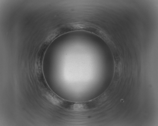 X0000081350418200701111500