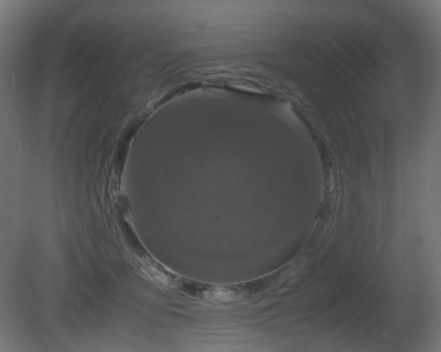 X0000081350419200701111500