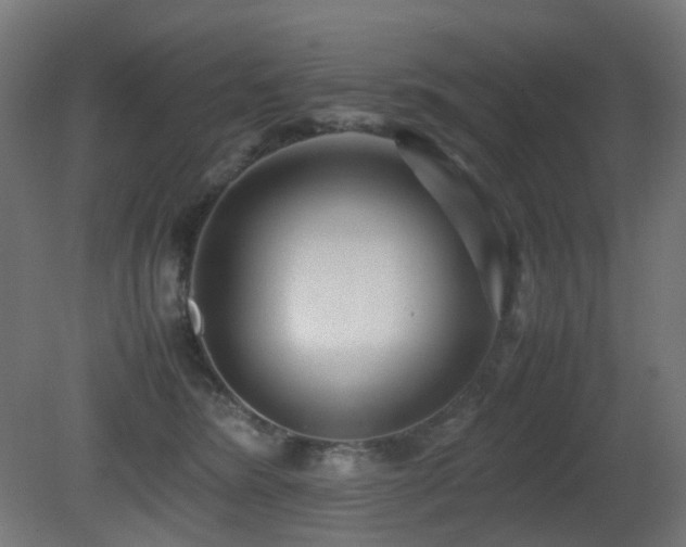 X0000081350420200701111500