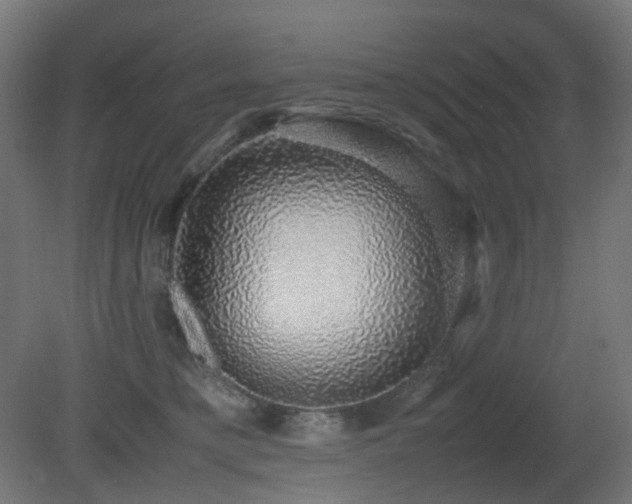 X0000081350421200701111500