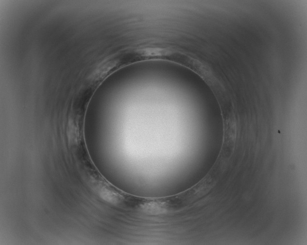 X0000081350422200701111500
