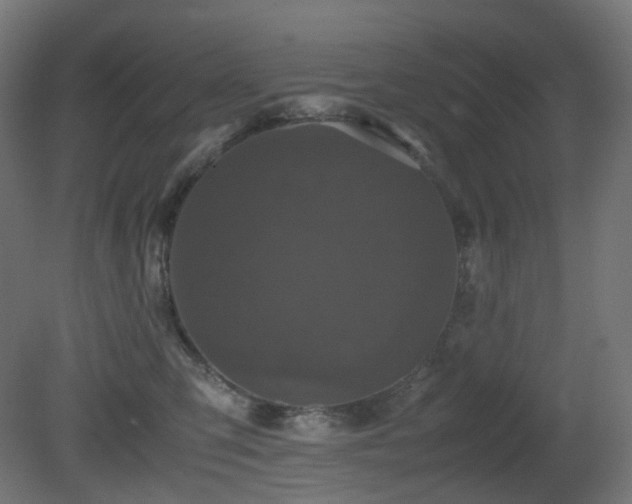 X0000081350423200701111500