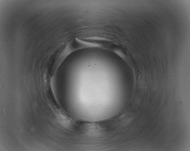 X0000081350424200701111500