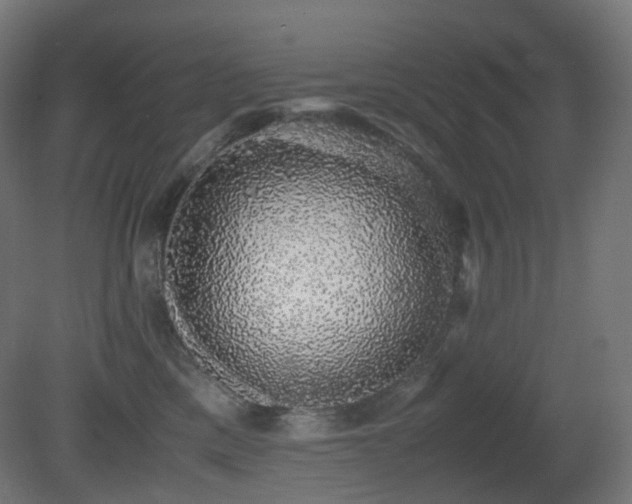 X0000081350425200701111500