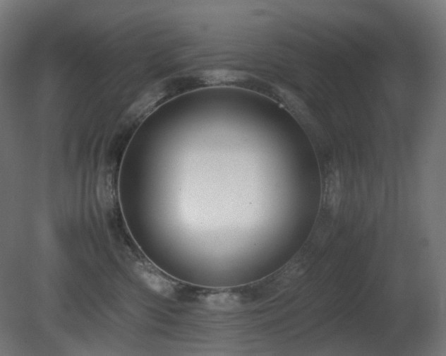 X0000081350426200701111500