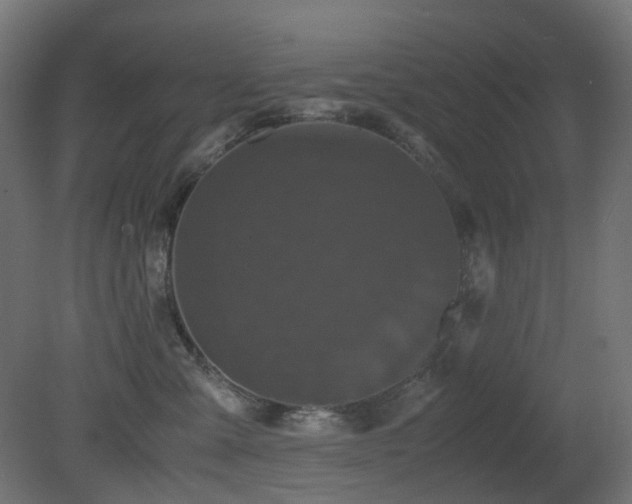 X0000081350427200701111500
