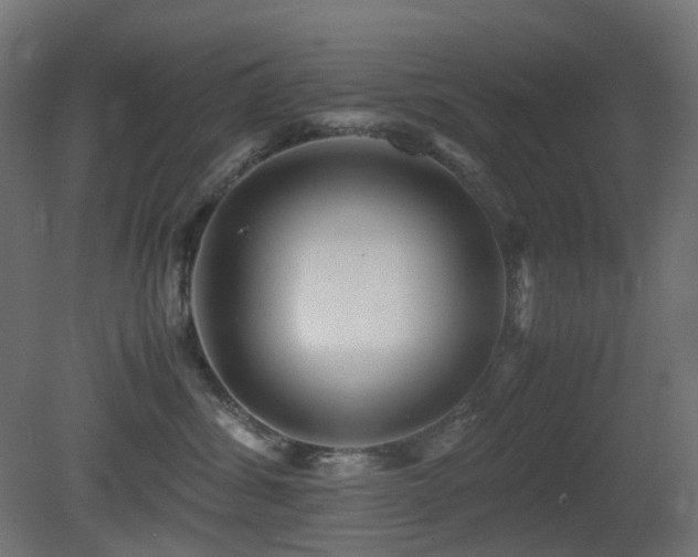 X0000081350428200701111500