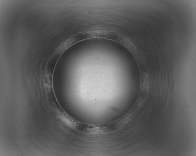 X0000081350430200701111500