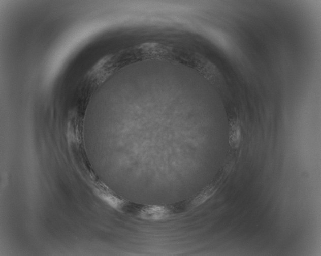 X0000081350431200701111500
