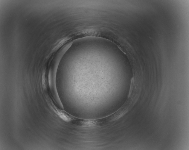 X0000081350432200701111500
