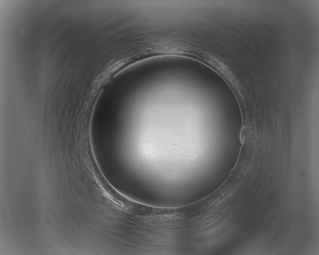 X0000081350433200701111459