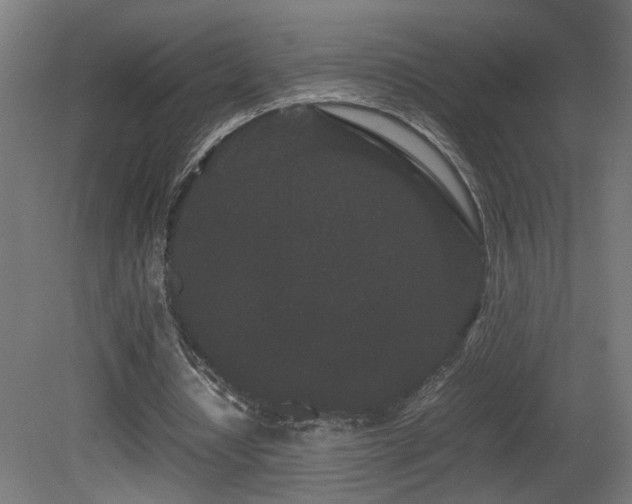 X0000081350434200701111459