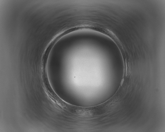 X0000081350435200701111459