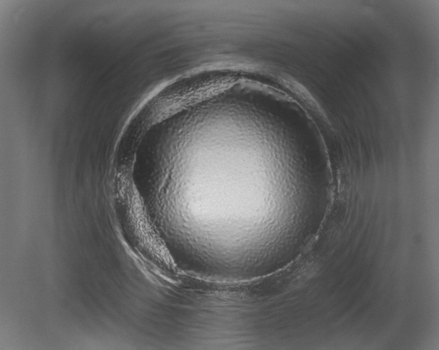 X0000081350436200701111459