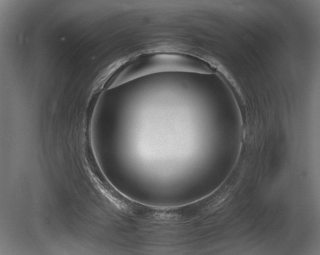 X0000081350437200701111459