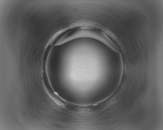 X0000081350438200701111459