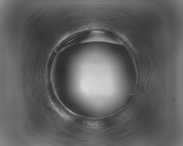 X0000081350439200701111459