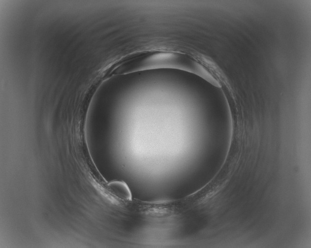 X0000081350441200701111459