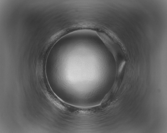 X0000081350442200701111459