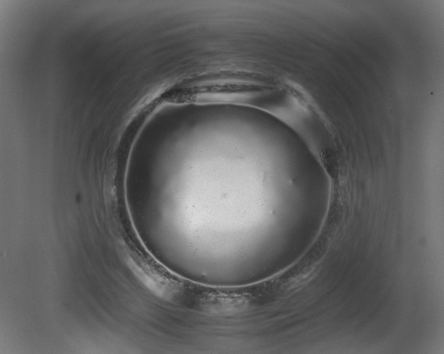 X0000081350443200701111459