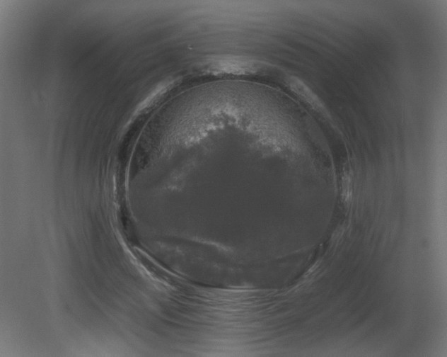 X0000081350444200701111459