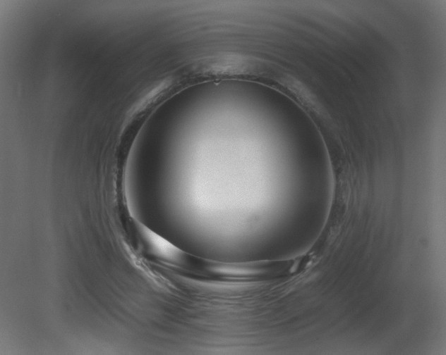 X0000081350446200701111459