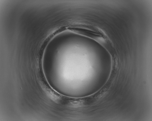 X0000081350447200701111459